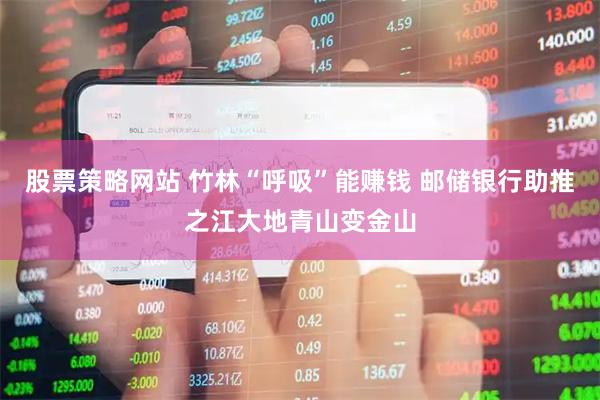股票策略网站 竹林“呼吸”能赚钱 邮储银行助推之江大地青山变金山